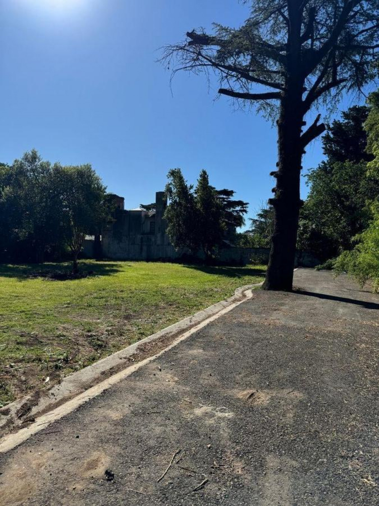 LOTE EN VENTA EN BELLA VISTA.  332m2, a metros de Av Francia.